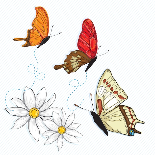Motyl ikony (zestaw kolekcja) na białym tle