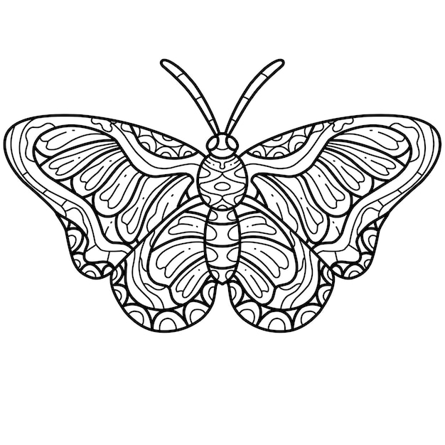 Motyl Kolorowanka Zentangle Książka Na Białym Tle