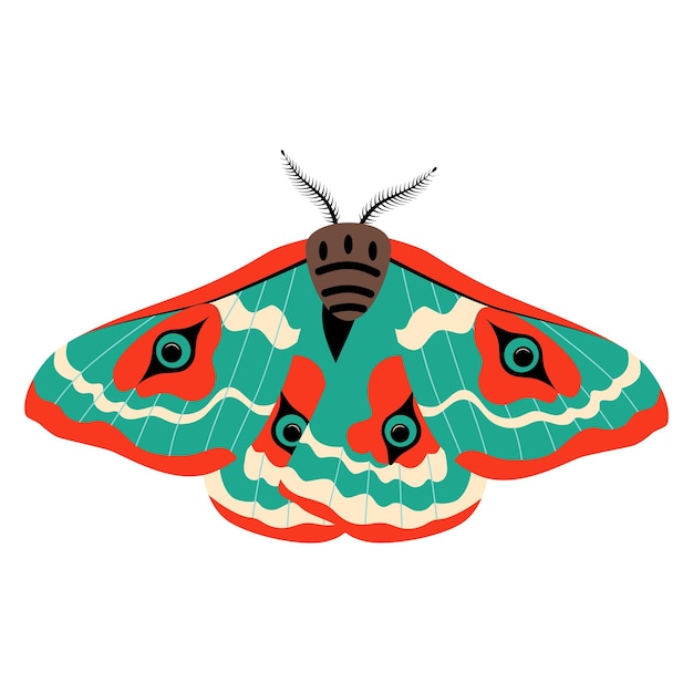 Plik wektorowy motyl wektor ilustracja clipart. ładny motyl na białym tle.