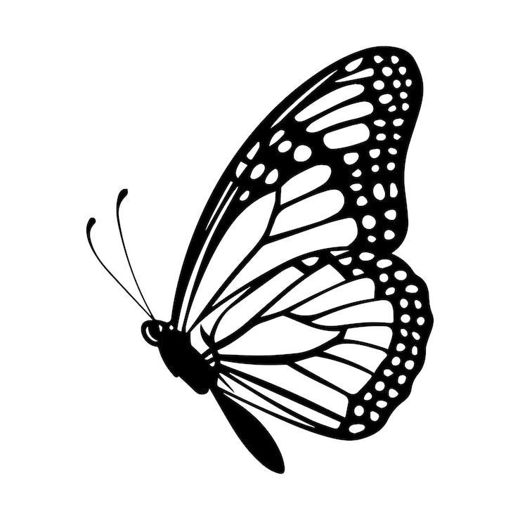 Wektor motyl