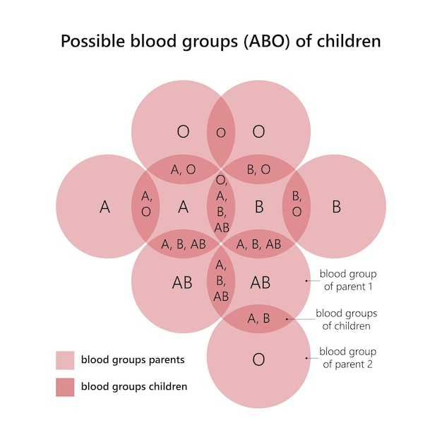 Plik wektorowy możliwa grupa krwi abo dzieci