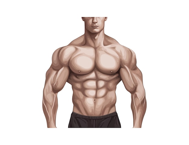 Plik wektorowy muscular man torso fitness wektorowy projekt ilustracji