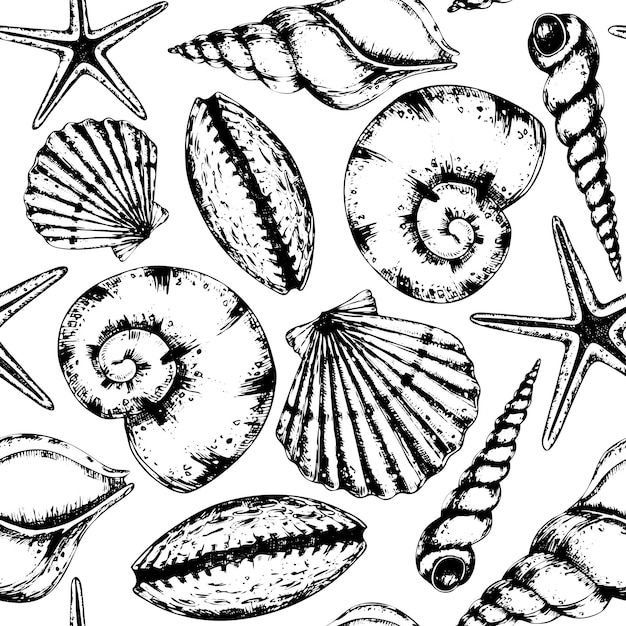 Muszle morskie Wzór na izolowanym tle Ręcznie narysowany wektorowy bezszwowy ornament liniowy z muszlami morskimi do papieru do pakowania morskiego lub tekstyliów Ilustracja podwodna z muszlą i mięczakiem