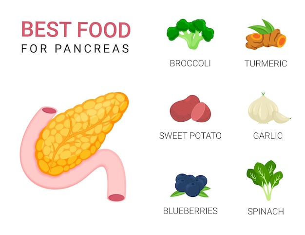 Plik wektorowy najlepsze jedzenie dla trzustki, projekt ilustracji żywności