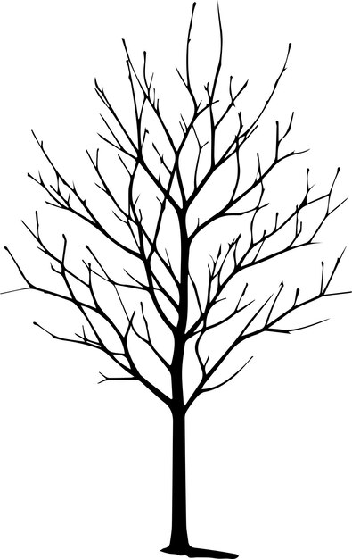 Plik wektorowy naked tree silhouette minimalna wektorowa sylwetka czarnego koloru sylwetka białego tła 11