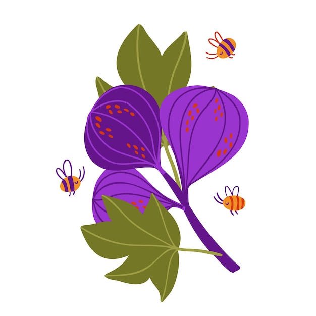 Plik wektorowy narysowana gałązka z owocami i liśćmi figowymi. płaskie ilustracji wektorowych. pszczoły latają w pobliżu owoców figowych.