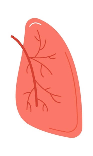 Plik wektorowy narząd ludzki płuc
