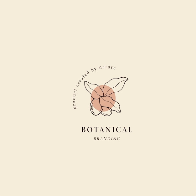 Naszkicuj logo orzecha shea. Rysunek botaniczny