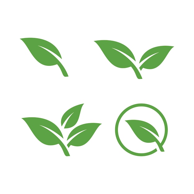 Natura Liść Zestaw Logo Ikona Symbol Wektor Na Białym Tle