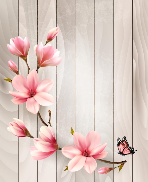 Natura wiosna tło z pięknymi magnolii oddziałów na drewniany znak. Wektor.
