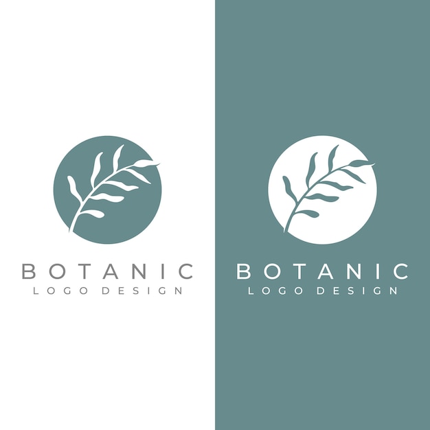 Naturalne Logo Botaniczne Organiczny Szablon Wektor Wzór Z Liśćmi Kwiatów łodygami Z Minimalistycznym Konturem Eleganckinadaje Się Do Odznaki Pięknościślub I Biznes