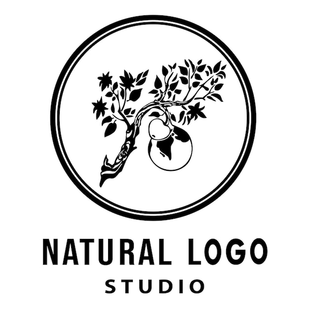 Plik wektorowy naturalne projekty studia logo