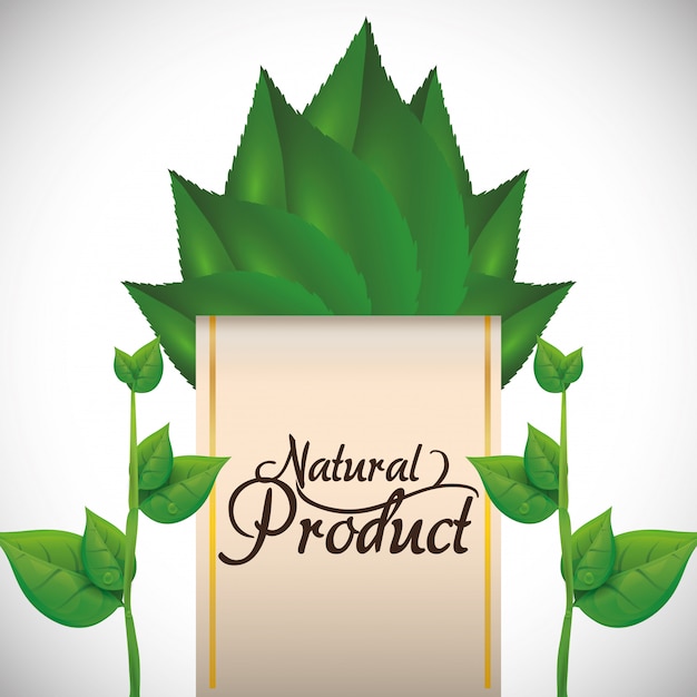 Naturalny Projekt Produktu