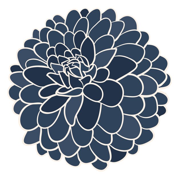 Plik wektorowy navyblushlucydahlias