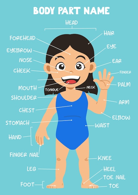 Plik wektorowy nazwa części ciała dziewczyny z kreskówek dla dzieci w języku angielskim