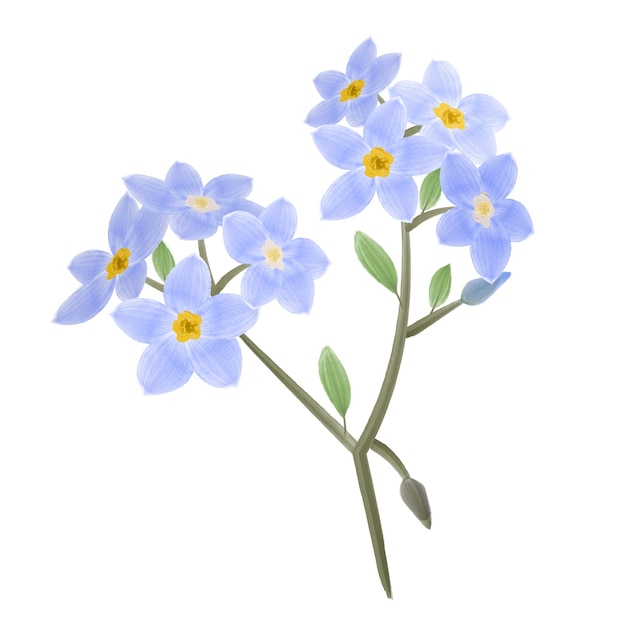 Plik wektorowy nie zapomnij kwiat akwarel clipart izolowana ilustracja wektorowa