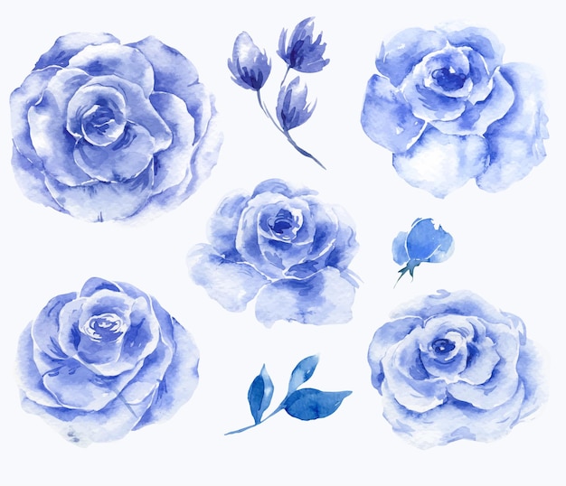 Niebieski Kwiat Róży Zestaw Akwarela