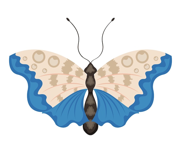 Plik wektorowy niebiesko-biały owad motylkowy