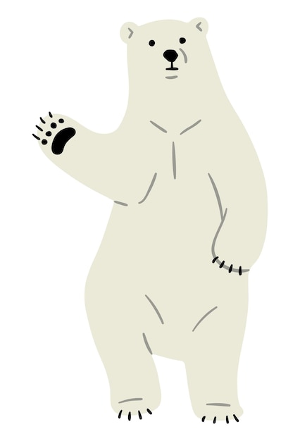 Niedźwiedź Polarny Pojedynczy 1