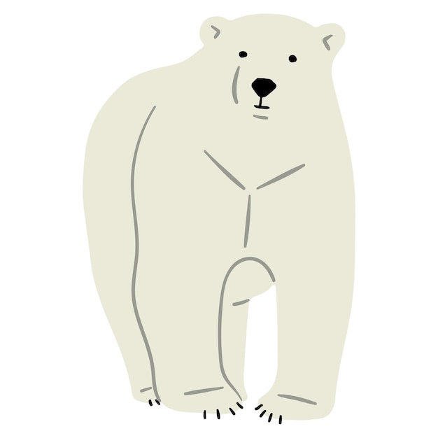 Niedźwiedź Polarny Pojedynczy 27