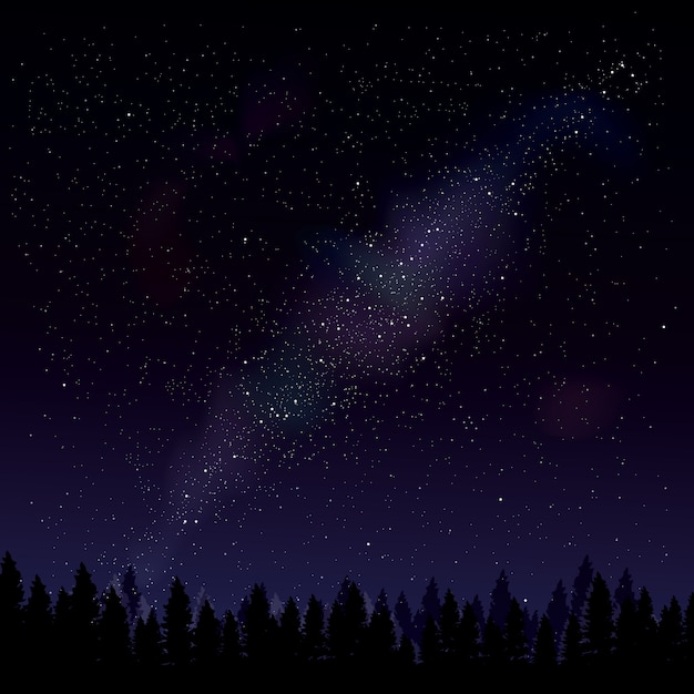 Nocny Las na ciemnym tle gwiaździste. Drzewa sylwetki na tle gwiazdy noc. Nocny las.