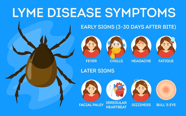Objawy Choroby Z Lyme. Zagrożenie Zdrowia Przez Kleszcze