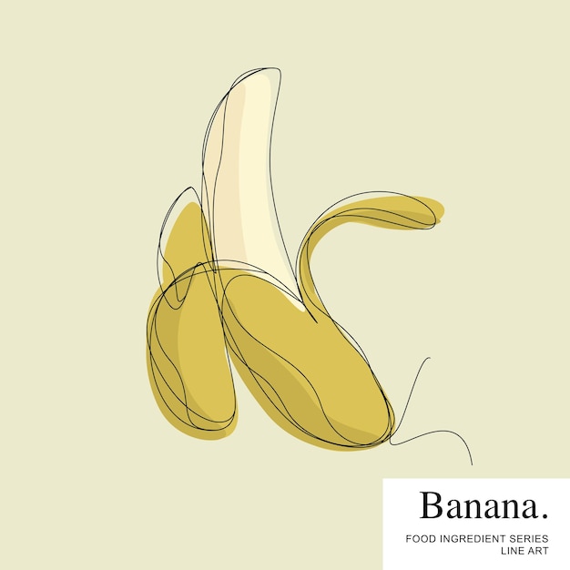 Plik wektorowy obrany banan, składnik żywności kreskówka linia wektor szablon