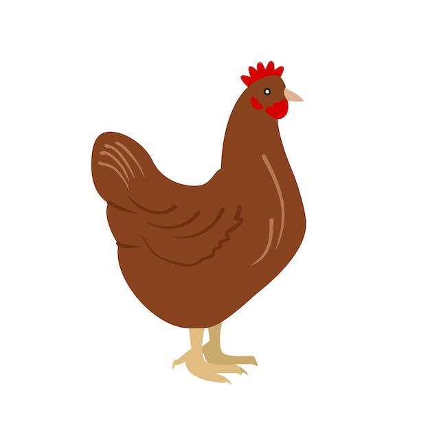 obraz ikony ilustracji wektorowych zwierząt kurczaka