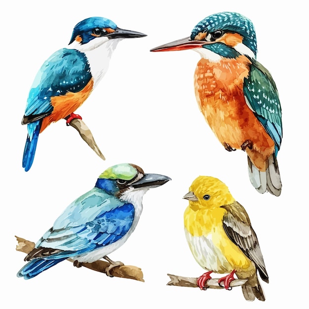Plik wektorowy obraz przedstawiający ptaki