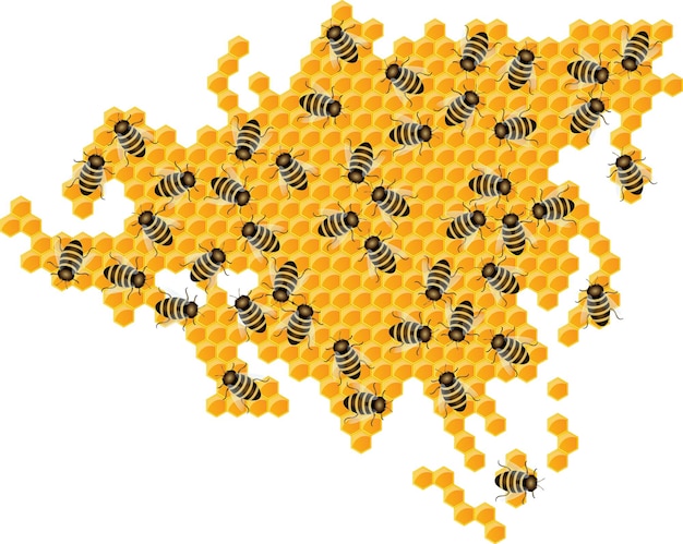 Obraz Wektorowy Zarysu Kontynentów I Kontynentów W Postaci Plastrów Miodu Koncepcja Rozwoju W Różnych Obszarach Kraju Europa Azja Eurazja