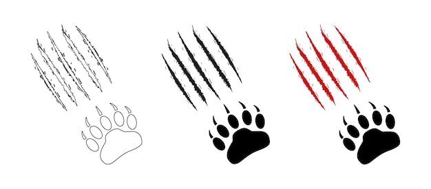 Odcisk łapy niedźwiedzia lub grizzly z zadrapaniami Ślady pazurów cięcia rany kontur sylwetki Czerwone rysunki krwi Wektor izolowany Clip Art Dzika łapa zwierzęcia z śladami pazurów Ikonowy odcisk tatuaż pocztówka