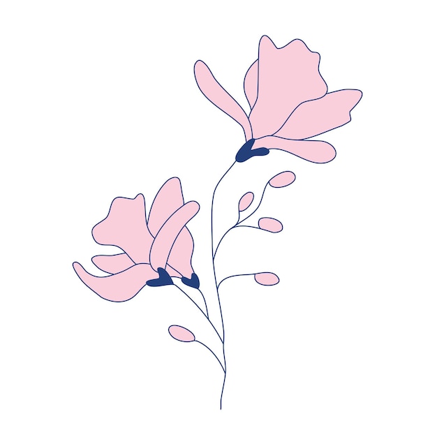 Oddział Magnolii Z Pąkami I Kwiatami Kwiatowy Botaniczny Kolor Motywy Kwiatowe Do Tatuażu