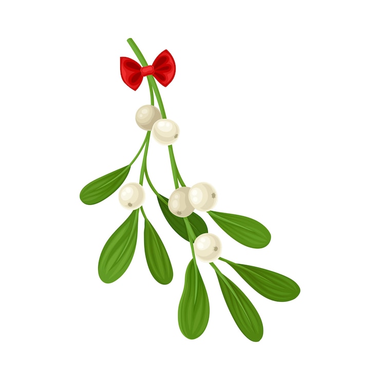 Wektor odgałęzienie mistletoe związane wstążką vector item kolorowa kompozycja gałązki do projektowania kartek świątecznych