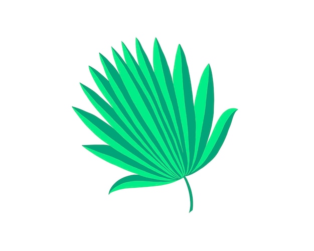 Odręczny rysunek liści palmowych na białym tle