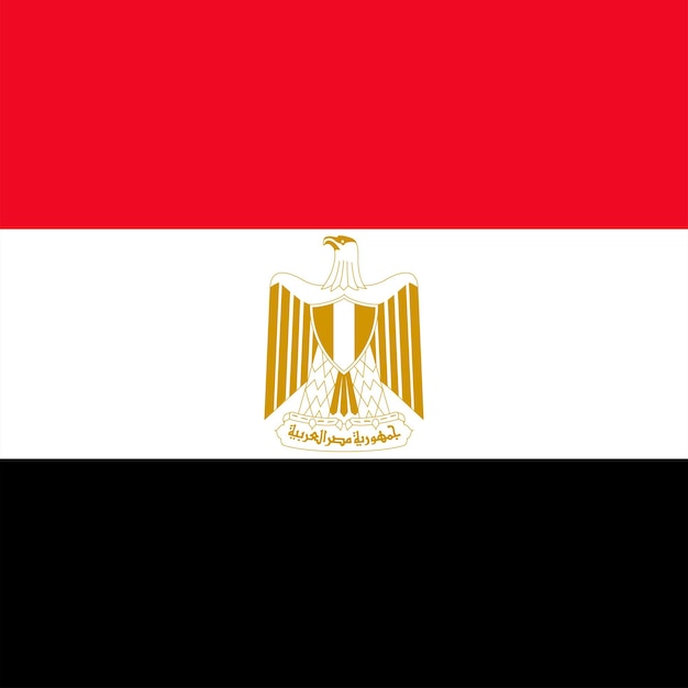 Plik wektorowy oficjalne kolory flagi egiptu ilustracja wektorowa