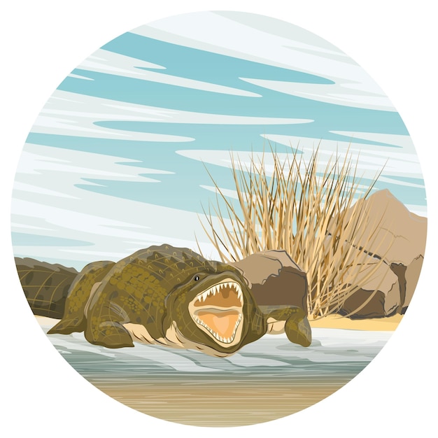 Plik wektorowy okrągła kompozycja krokodyl nilowy crocodylus niloticus stoi z otwartym pyskiem w pobliżu rzeki