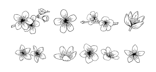 Określenie kwiatów sakury kwiat zestaw ręcznie narysowany doodle sakura kwiat linii ikony kolekcja realistyczna