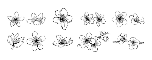 Określenie kwiatów sakury kwiat zestaw ręcznie narysowany doodle sakura kwiat linii ikony kolekcja realistyczna