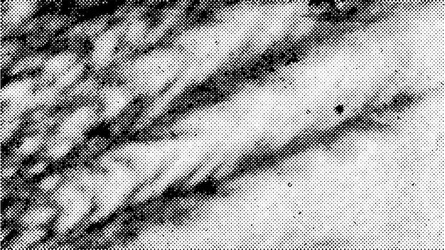Organiczne półtonowe tło z cieniem trawy streszczenie gradacja kropkowana x czarne kropki monochromatyczne grad