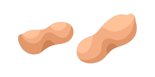 Orzeszki ziemne w łupinach. Orzechy ziemne osuszyć w całości. Orzech ziemny w pigułce. Świeży surowy goober, jedzenie. Płaskie wektor ilustracja na białym tle.