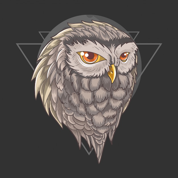 Owl Head Vector