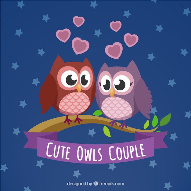 Owls Cute Para