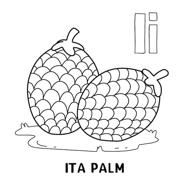 Plik wektorowy owoc alfabetu ita palma do kolorowania słowem ręcznie rysowane kreskówka owoce litery