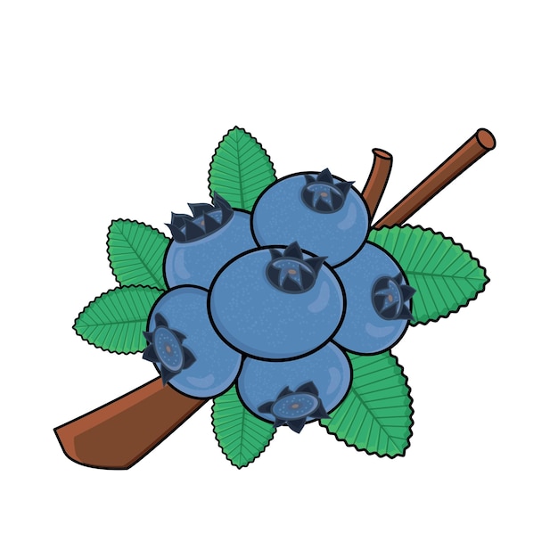 Plik wektorowy owoc borówki ikona wektorowa ilustracji kreskówki borówka z liściem na gałęziach