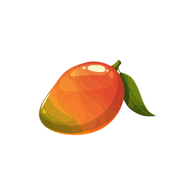 Owoc Mango, Wektor świeża Tropikalna Soczysta Roślina