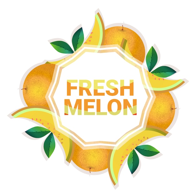 Owoc Melon Kolorowy Koło Kopia Przestrzeń Organicznych Na Białym Tle Wzór