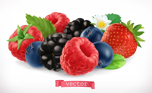 Plik wektorowy owoce i jagody leśne. malina, truskawka, jeżyna, jagoda. 3d realistyczna ikona