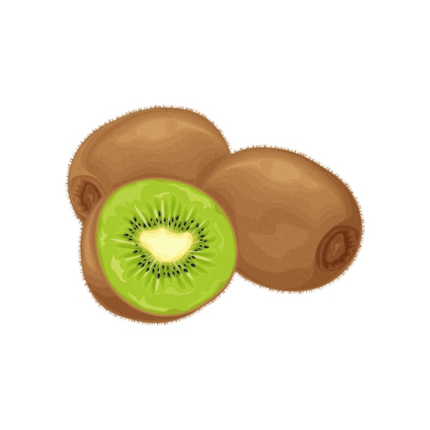 Owoce Kiwi Dojrzałe Kiwi Obraz Dojrzałych Owoców Kiwi Owoce Witaminy Organiczne Produkty Wegetariańskie Ilustracja Wektorowa Na Białym Tle