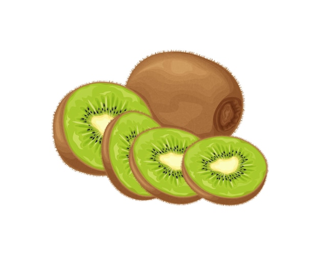 Plik wektorowy owoce kiwi dojrzałe kiwi obraz dojrzałych owoców kiwi owoce witaminy organiczne produkty wegetariańskie ilustracja wektorowa na białym tle