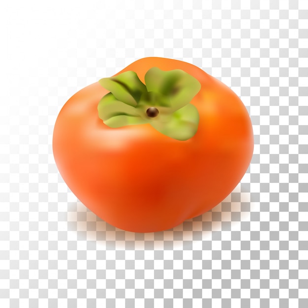 Plik wektorowy owoce persimmon